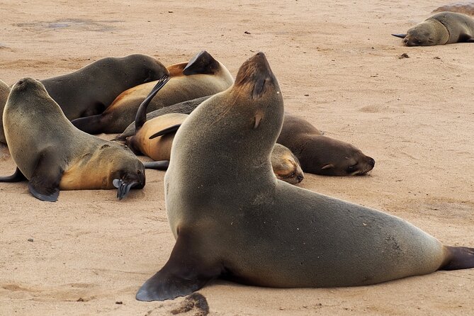 9 Day Etosha, Skeleton Coast and Sossusvlei Camping and Lodge Safari - Deadvlei and Sossusvlei: Namibia’s great visual payoff