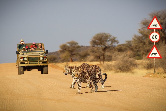 9 Day Etosha, Skeleton Coast and Sossusvlei Camping and Lodge Safari - Otjikandero and the long road toward the Atlantic