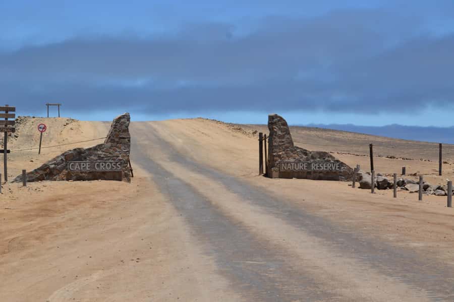 Cape Cross and Henties Bay Guided Tour SkeletonCoast Namibia - Key points to know before you book
