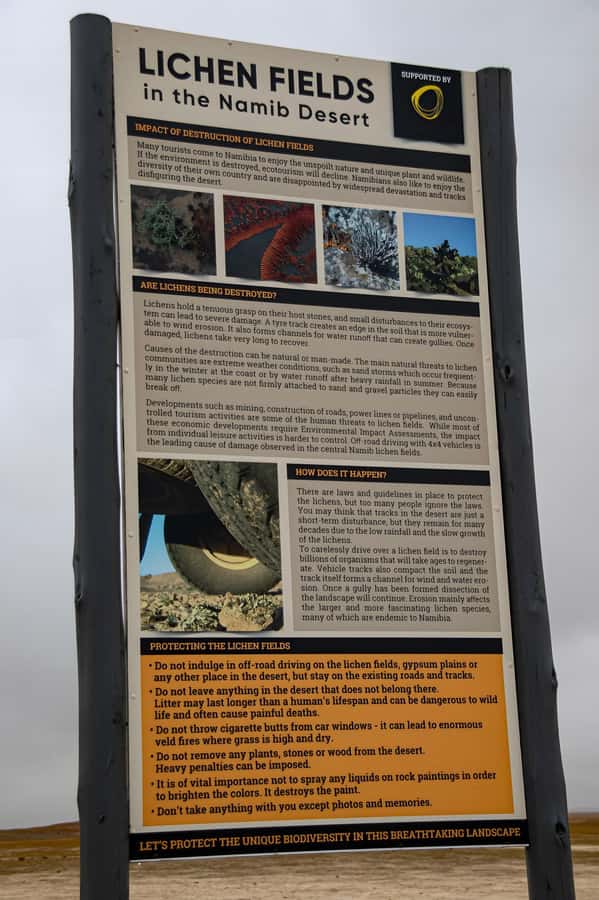 Cape Cross and Henties Bay Guided Tour SkeletonCoast Namibia - The guide, vehicle, and group size