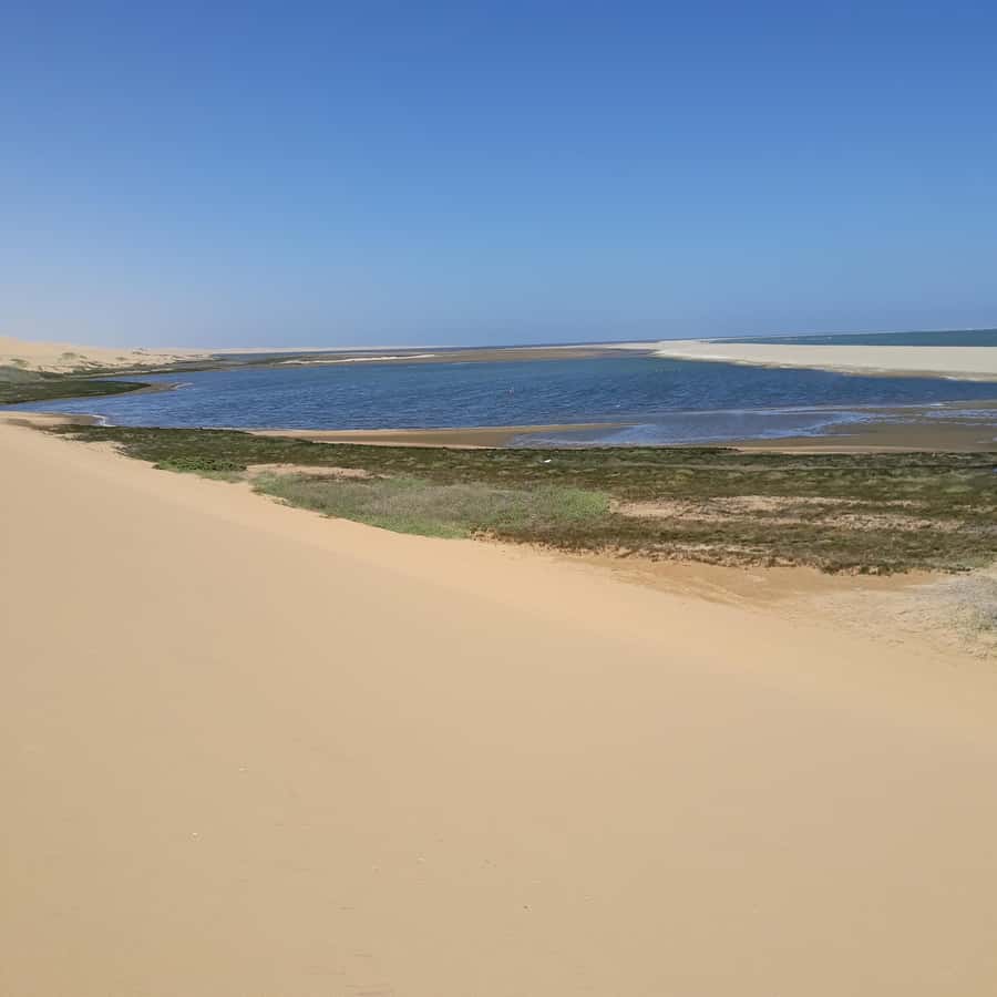 Catamaran Dolphin Cruise and Sandwich Harbour Tour - Who should book this full-day outing?