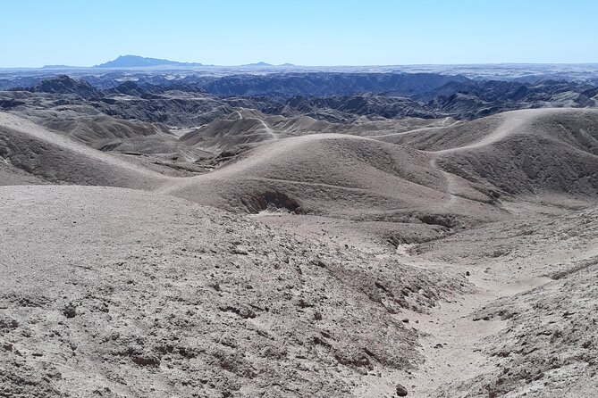 Cruise liner Special: Swakopmund and Namib Desert Highlights - Starting at Walvis Bay Port