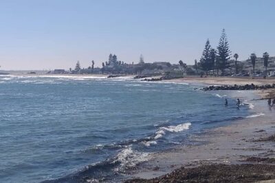 Cruise liner Special: Swakopmund and Namib Desert Highlights