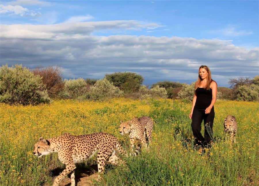 Discover the Roots of N/a'ankuse - A feeding Day Tour - Cheetahs, caracals, wild dogs, and leopards