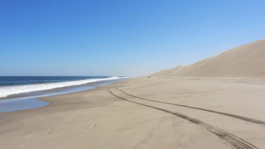 Dolphin & Seal cruise Sandwich harbour dune tour - A full day split between water and sand