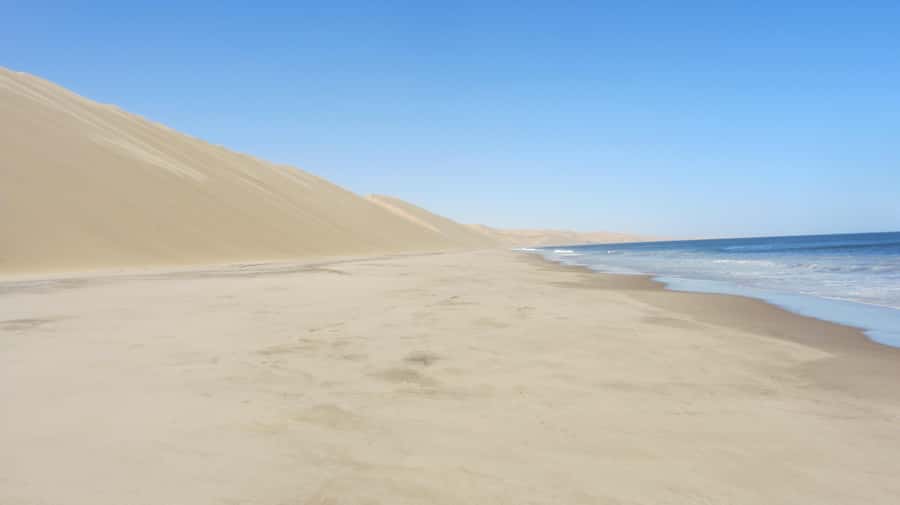 Dolphin & Seal cruise Sandwich harbour dune tour - Starting at Walvis Bay waterfront