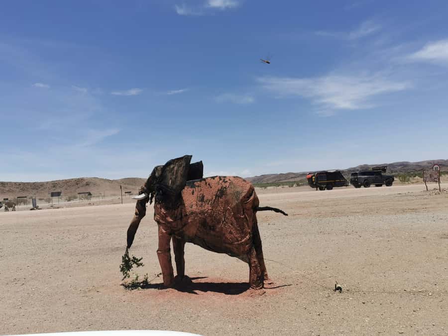 Elephant Adventure with Herson - a native of Damaraland - Practical tips for a better outing