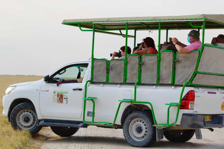 Etosha National Park: Full or Half-Day Game Drive - Starting at Anderson Gate before the crowds