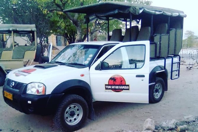 ETOSHA PARK SAFARI with local guides in 9-seater 4x4s - Key Points Before You Book