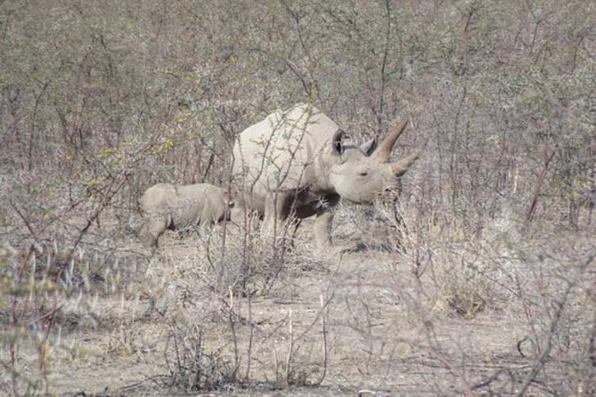 ETOSHA PARK SAFARI with local guides in 9-seater 4x4s - Who Will Enjoy This Safari Most