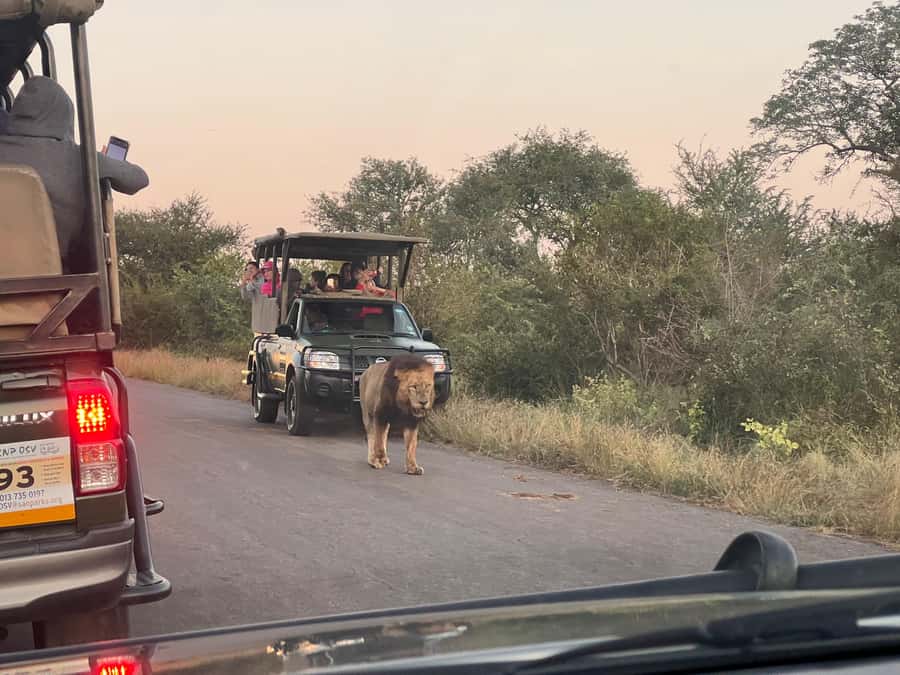 Etosha Private Safari Adventure (3 Days from Windhoek) - Okaukuejo after dark