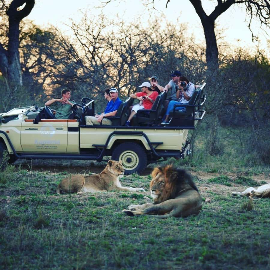 Etosha Private Safari Adventure (3 Days from Windhoek) - Meals and the detail I would confirm first