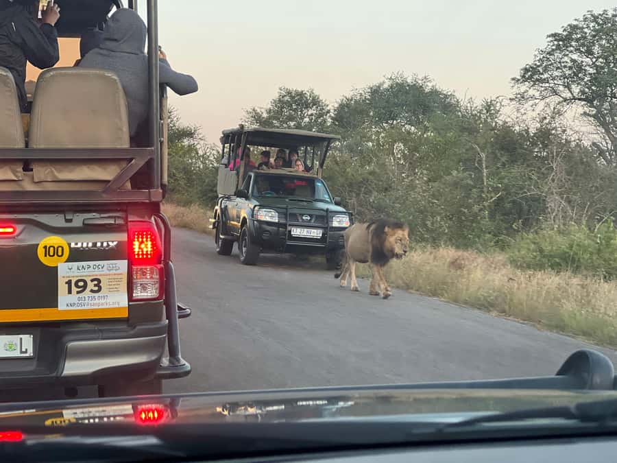 Etosha Private Safari Adventure (3 Days from Windhoek) - What the $1,681 price really buys