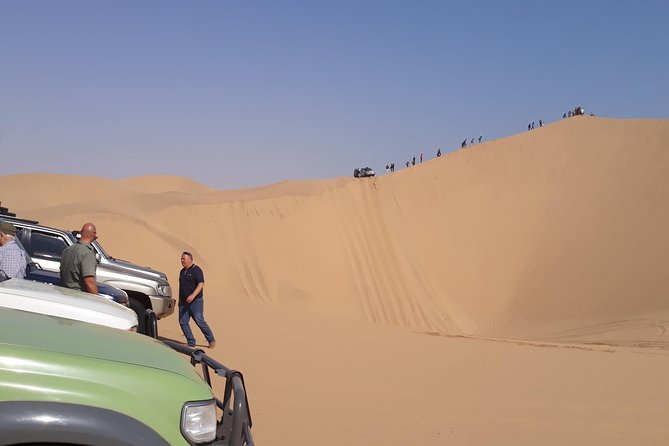 Exhilarating Sandwich Harbour 4x4: Guided Self drive experience - Lunch adds a welcome pause