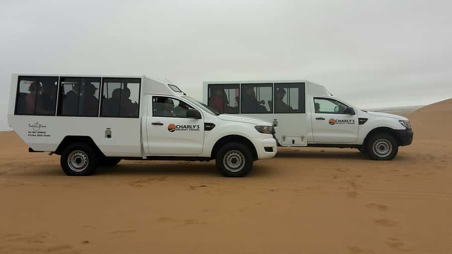 From Swakopmund: Living Dunes Experience - Why this short dune trip is worth your time