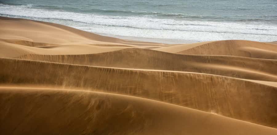 From Walvis Bay: Sandwich Harbour and Pelican Point Tour - Sandwich Harbour, Where Dunes Meet the Atlantic