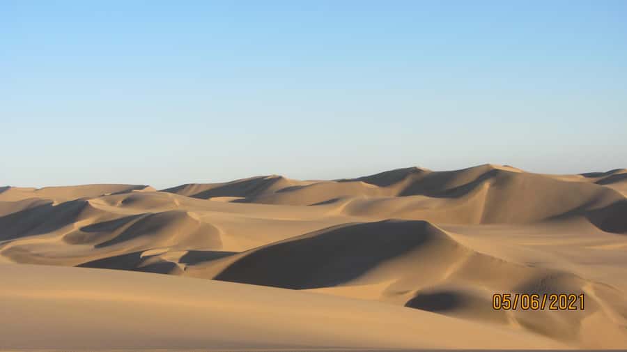 From Walvis Bay: Sandwich Harbour World Heritage Site - Sandboarding, if conditions allow