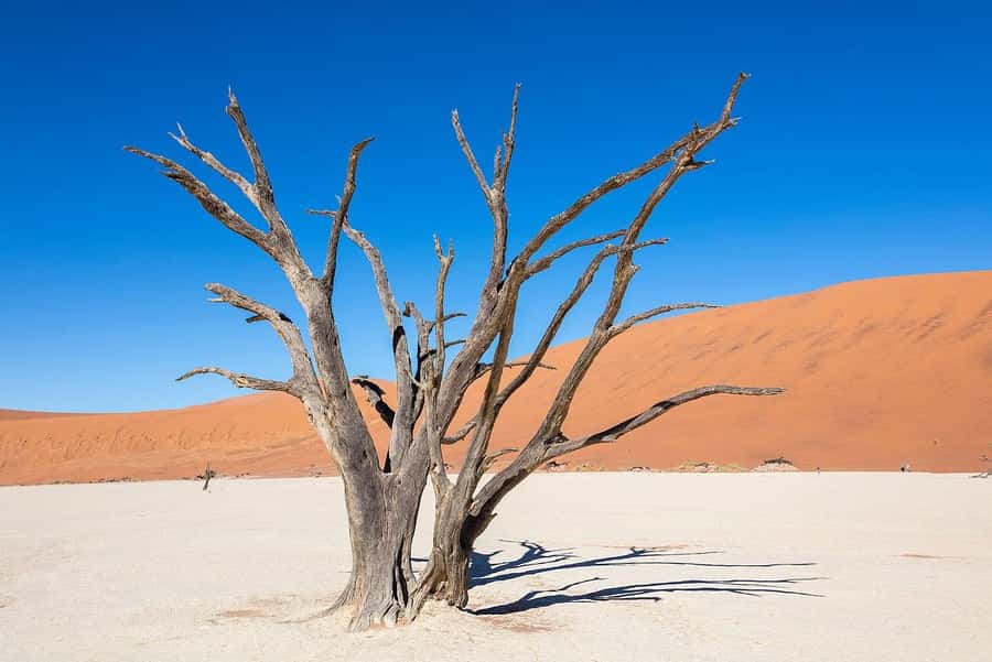 From Windhoek: 3-Day Sossusvlei Shared Shuttle Tour - The morning trip into Sossusvlei