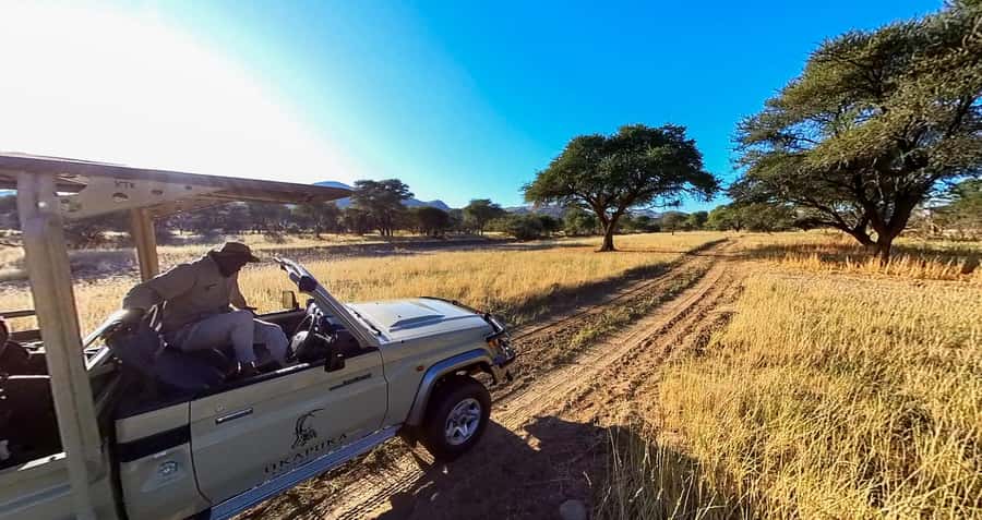 From Windhoek: Okapuka Safari Lodge Day Trip - Reaching Okapuka from Windhoek at noon