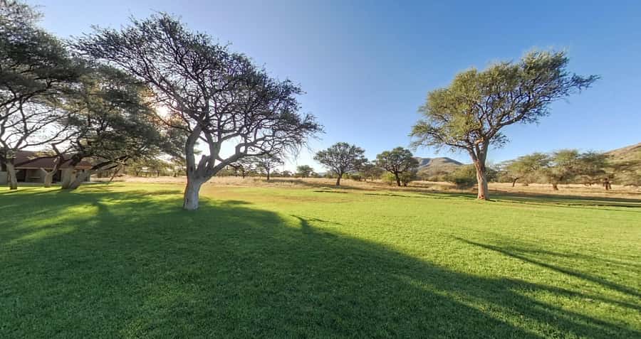 From Windhoek: Okapuka Safari Lodge Day Trip - The game drive and its animal list