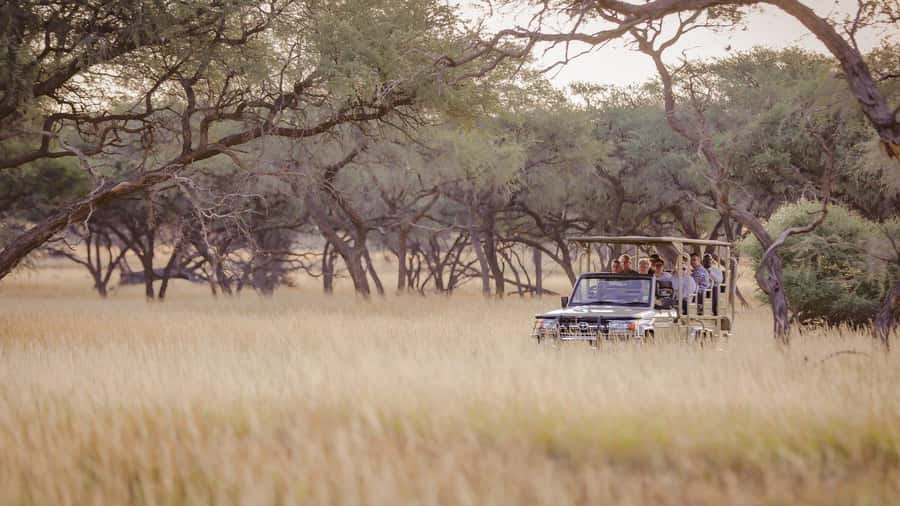 From Windhoek: Okapuka Safari Lodge Day Trip - Who will enjoy this half-day safari