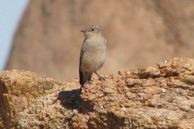 Full-Day Tour in Namib Desert from Swakopmund, Namibia - Leaving Swakopmund for the Namib Naukluft Park