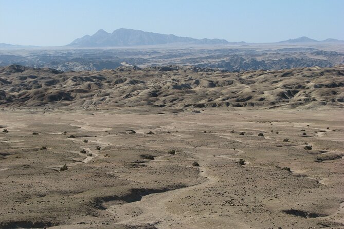 Full-Day Tour in Namib Desert from Swakopmund, Namibia - Why the guide can make or break the experience