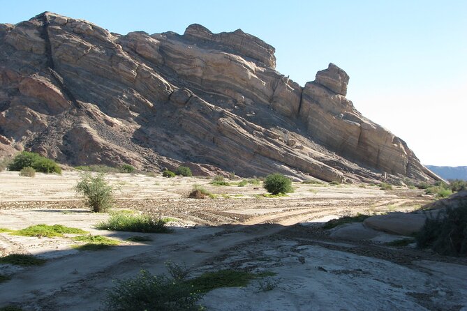 Full-Day Tour in Namib Desert from Swakopmund, Namibia - Is $125.31 a fair price?