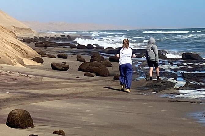 Full Day Tour Shipwreck Sandwich Harbour Adventure - The guide can make the long drive worthwhile