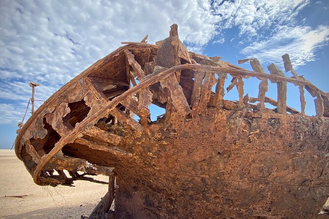 Full Day Tour Shipwreck Sandwich Harbour Adventure - Practical details that matter on the day