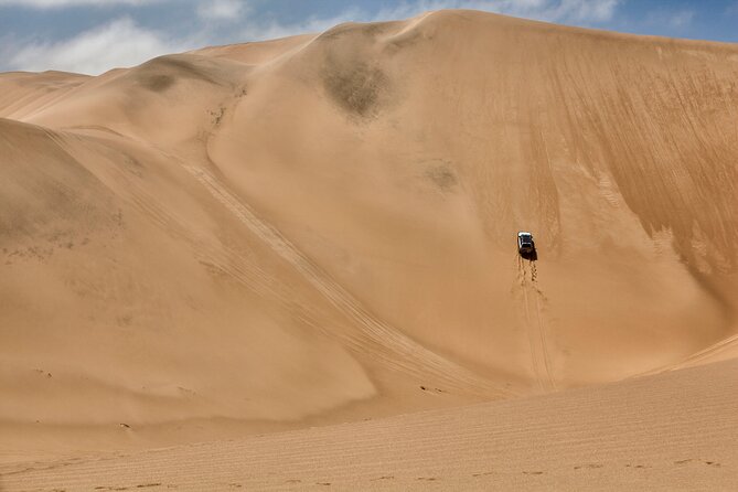 Half-Day Sandwich Harbour Tour from Walvis Bay with Lunch - The Kuiseb River delta and dry desert wildlife