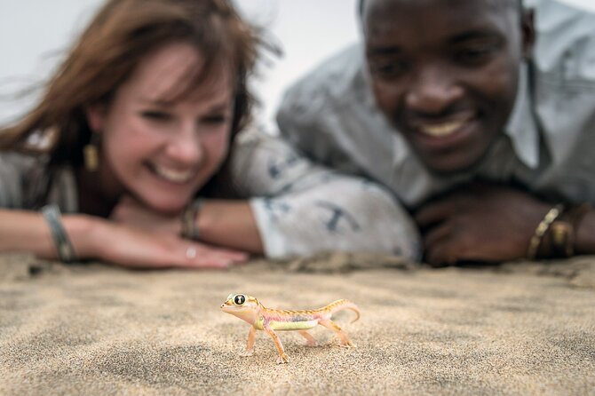 Half-Day Sandwich Harbour Tour from Walvis Bay with Lunch - The 4x4 ride through the dunes