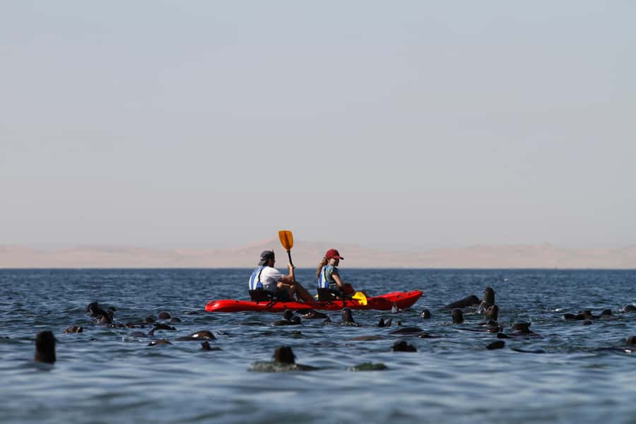 Kayak Dune Day - Why combine kayaking and Sandwich Harbour?