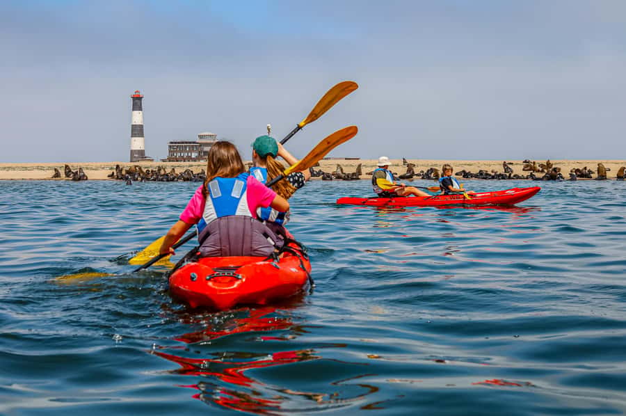 Kayak Dune Day - Brunch on the beach before the desert
