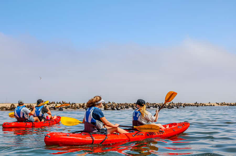 Kayak Dune Day - The early catamaran ride to Pelican Point