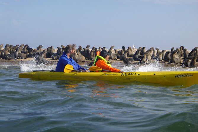 Kayak Sand Combo - Key Things to Know Before Booking