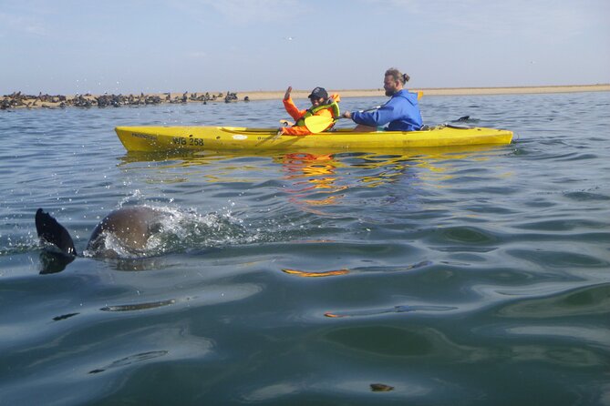 Kayak Sand Combo - What the $190.43 Price Buys You