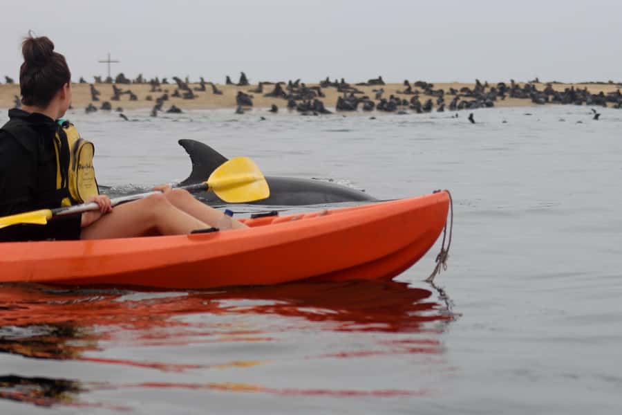 Kayaking and Sandwich Harbour Combo Tour - The 07:45 start at Walvis Bay Lagoon