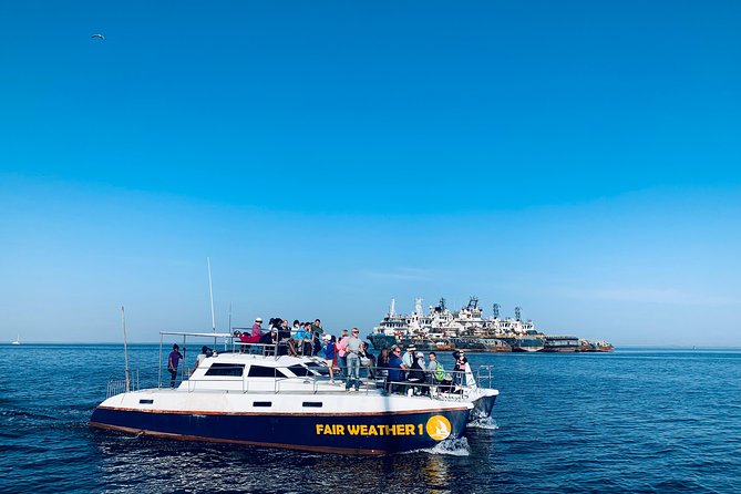 Marine Dolphin Seal Cruise - Who will enjoy this Walvis Bay cruise?