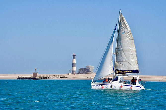 Marine Dolphin Seal Cruise - Across the lagoon and past the oyster farms
