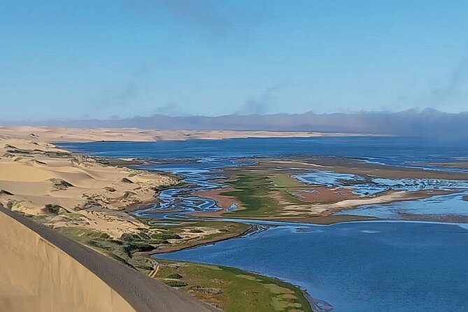 Marine Dune Day: Catamaran Cruise and Sandwich Harbor Dune Drive - What the catamaran cruise includes