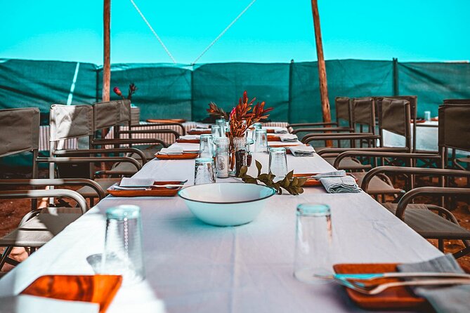 Mola Mola Day with Beach Braai Lunch - Starting at Walvis Bay Waterfront