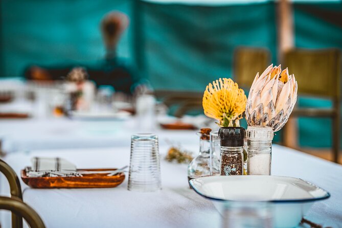 Mola Mola Day with Beach Braai Lunch - Is $349.07 good value?