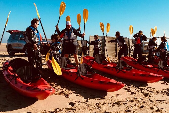 Mola Mola Kayaking Experience with a Licensed Guide - A 30-minute catamaran ride to Pelican Point