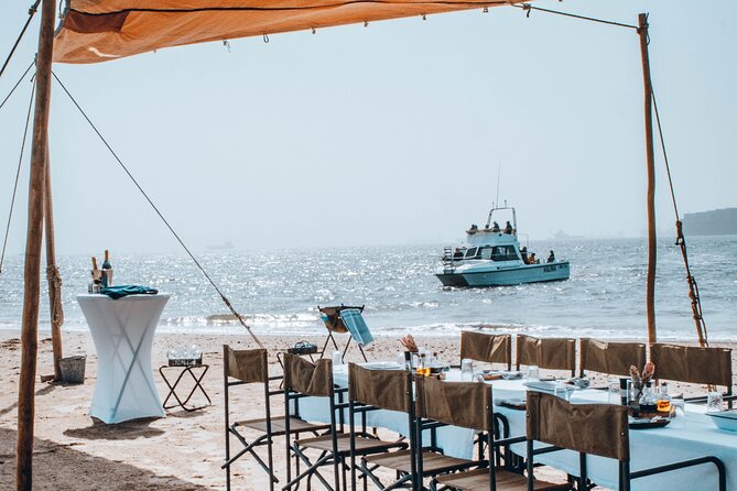 Mola Mola Marine Dolphin Cruise & Beach Braai on Pelican Point - Key Points At A Glance