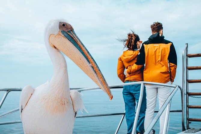 Mola Mola Marine Dolphin Cruise & Beach Braai on Pelican Point - Why The Included Food And Drinks Matter