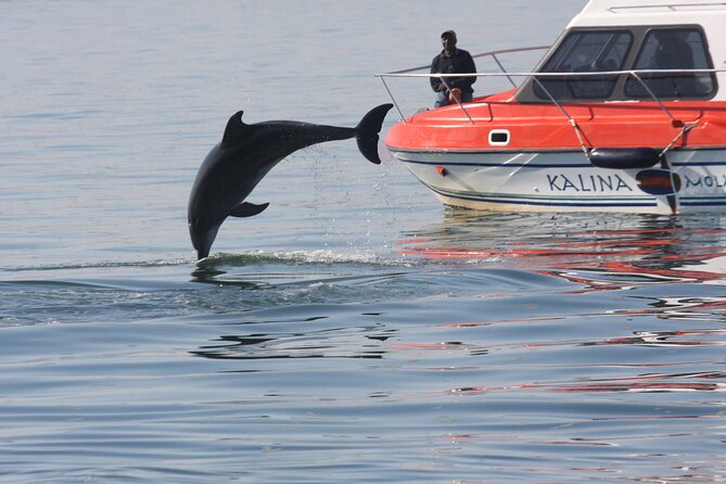 Mola Mola Marine Dolphin Cruise from the Walvis Bay Waterfront to Pelican Point - Pelican Point and its large seal colony