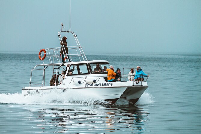 Mola Mola Marine Dolphin Cruise from the Walvis Bay Waterfront to Pelican Point - Is the $90.76 price good value?
