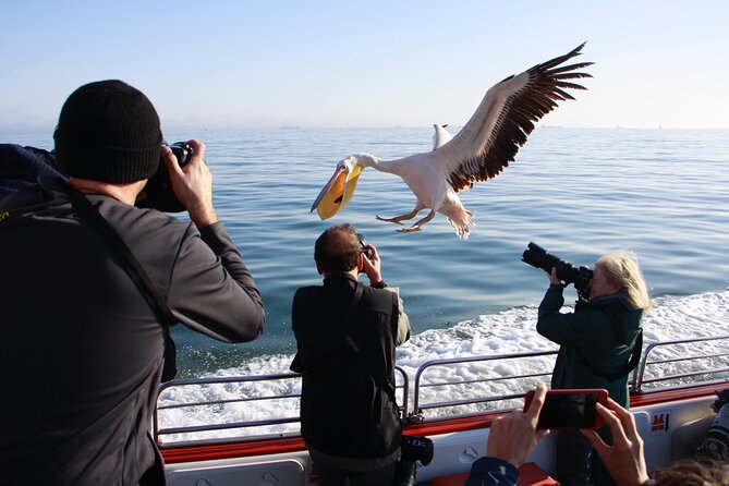 Mola Mola Marine Dune Experience - Crossing the saltpans and Kuiseb River Delta