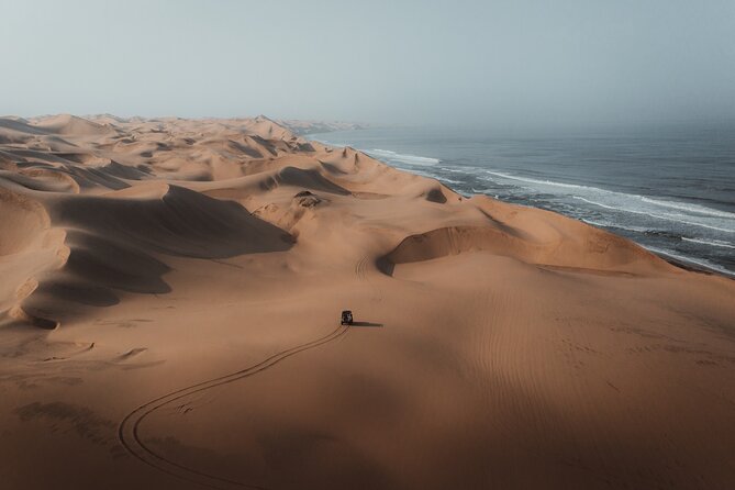 Mola Mola Marine Dune Experience - The practical details that affect your decision